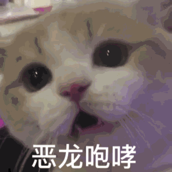  抖音超火的可爱表情包
