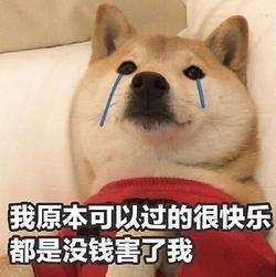  loveiswar他们为什么能有那么多老婆啊