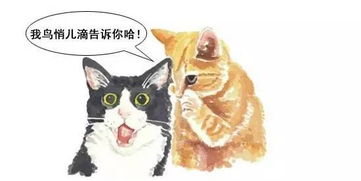  沈阳重点小学排行前十都有哪些哪些片区被划到了重点小学