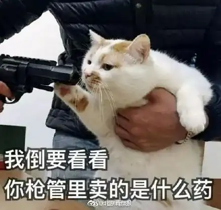 贵阳男子跳河自杀,水太浅摔断腿直呼太冷了原谅我不厚道的笑了 贵阳男子跳河自杀,水太浅摔断腿直呼太冷了原谅我不厚道的笑了