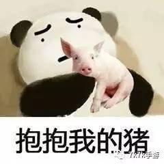  不要问我叫什么,请叫我雷锋