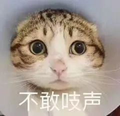 西伯利亚表情包开心笑话