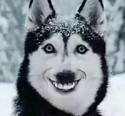  朋友圈发这个,真心给跪了