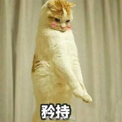 陈立农表情包文字搞怪金
