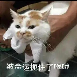 2020年二建报名提醒 2020年二建报名提醒