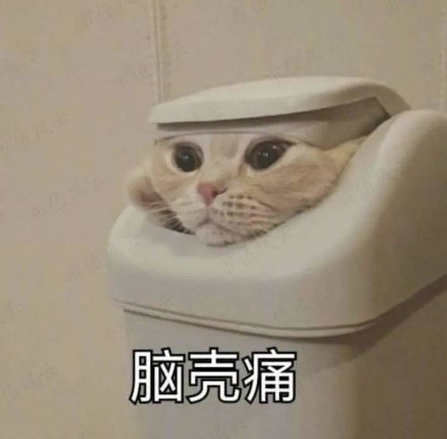  收购子公司持续暴雷,财报错漏百出就算背靠清华系,想做好主业也要用心啊