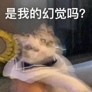 表情包网红小姐姐反噬
