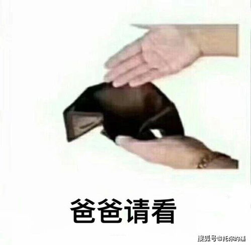  四舍五入不花钱就能留学2020年美国奖学金申请大全