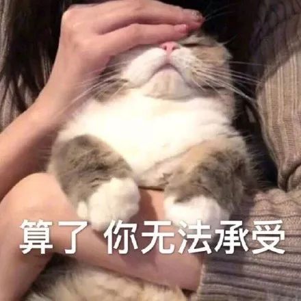  8万人大型表白现场太好玩了哈哈哈哈哈哈哈哈哈哈