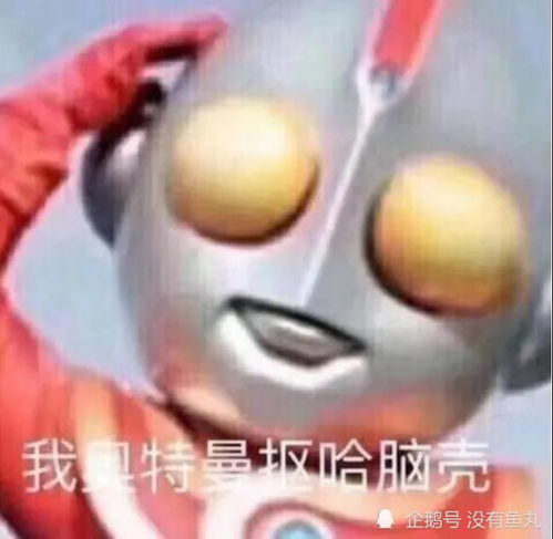  合集超可爱喵咪表情包无水印