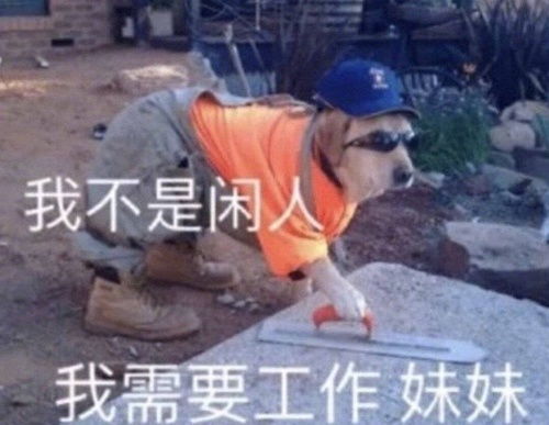  职业