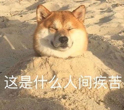 人生疾苦表情包苏军