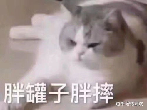  有一个很帅的男朋友是种什么样的体验