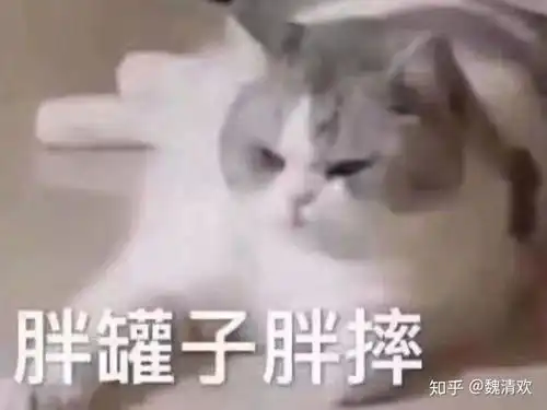 有一个很帅的男朋友是种什么样的体验 有一个很帅的男朋友是种什么样的体验