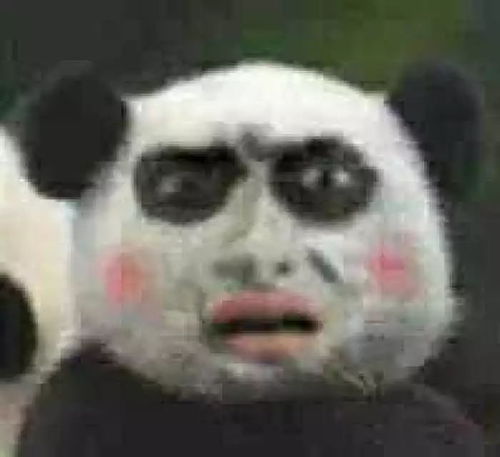  熊猫头像