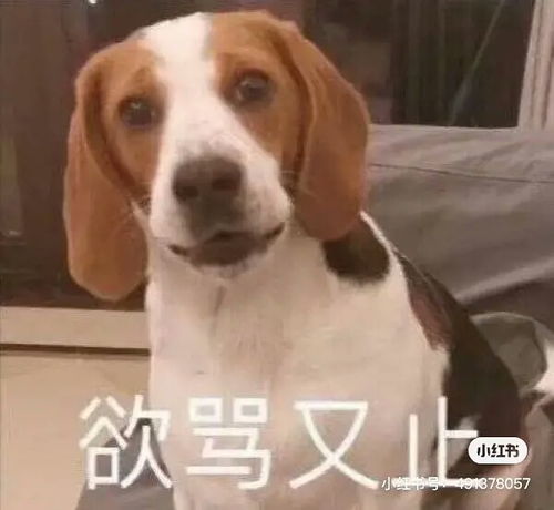  一个公主戴着皇冠走进了教室