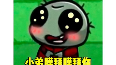  小弟膜拜膜拜膜拜你表情包大全