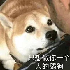 秀恩爱虐狗表情包尬聊