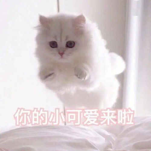  莱茵春天花样抖音视频大赛参与即有奖