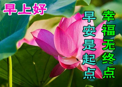  早上好动态表情图片大全,早晨好动图美图大全