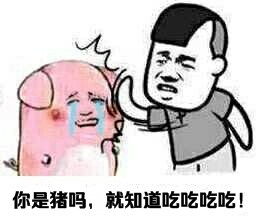  吃吃吃整天就知道吃表情包下载吃吃吃就知道吃表情包高清无水印版下载飞翔下载