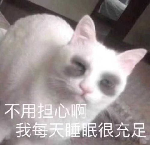  可爱沙雕句子,图文并茂,快拿去称霸你的朋友圈