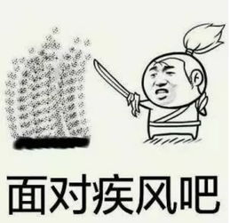  精选斗图表情包面对疾风吧,哈赛