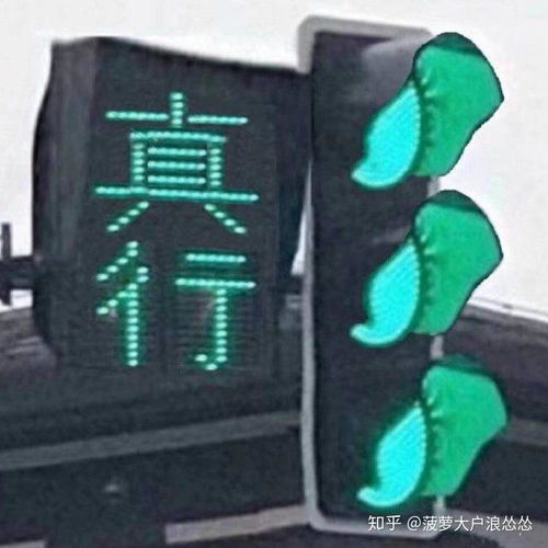  如何评价中餐厅第三季第三期