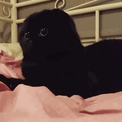 人生疾苦表情包表情