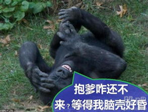  暴爹遥遥无期,上证周二还是阳棒收3226
