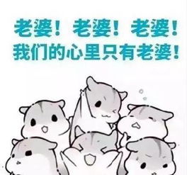  表情包丨世界上没有怕老婆的男人,只有爱老婆的男人