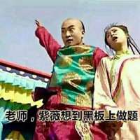 尔康紫薇骑马表情包