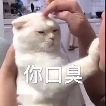  今日份沙雕搞笑表情包