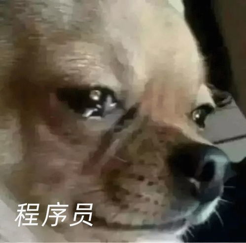  钉钉十年心血竟因此毁于一旦阿里app组团求情,各位少侠键盘留情,放过他吧