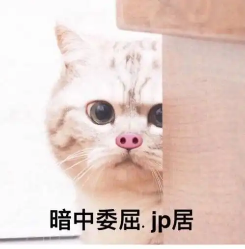 愚人节活动丨真实笑出猪叫一起变身猪猪在坦格拉美亚大陆上骗人吧 愚人节活动丨真实笑出猪叫一起变身猪猪在坦格拉美亚大陆上骗人吧