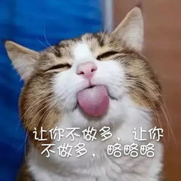 仰天大笑出门去,一个涨停带回来 仰天大笑出门去,一个涨停带回来