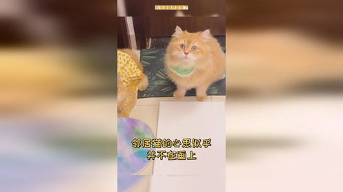  大无语事件发生了