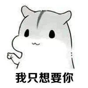  仓鼠表情包捕捉到一只呆萌的老婆