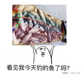  浮漂动都不动,鱼饵却不见了是咋回事该怎么调整呢