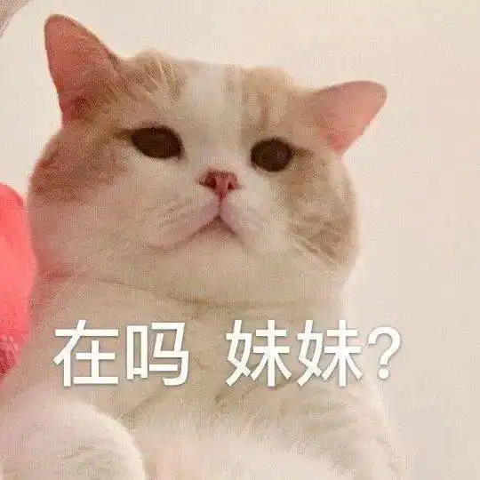 给男朋友道歉表情包头像