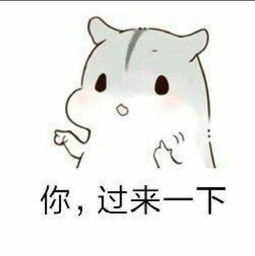  仓鼠表情包撩妹套路图