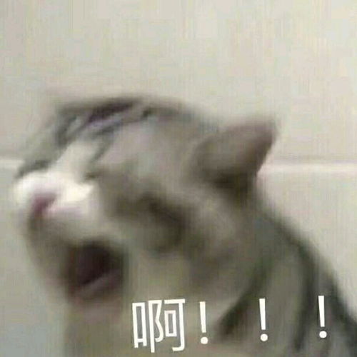  阿米之家旅行篇之房间分配