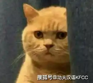  英文也有爆笑谐音梗分享10个,来看看你能get到几个吧