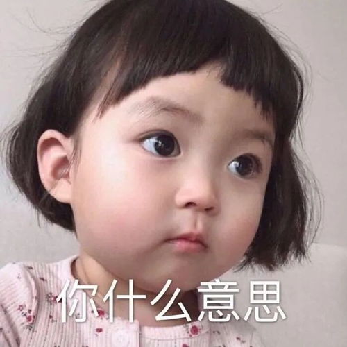  表情包遇见傻子,可真伤脑细胞