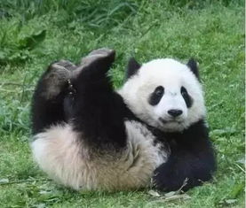  爆笑照片摄影师太有才了