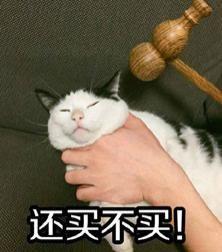  大家有没有一只心心念念希望知道的小猫的名字