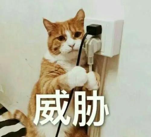  长痘成瘾,戒不掉抠痘痘,可能要怪......