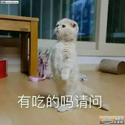  有吃的吗请问可爱表情包电死你个小可爱喵咪表情包下载乐游网游戏下载