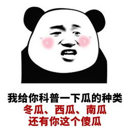  熊猫头土味情话表情包我给你科普一下辣的级别