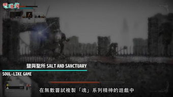  还死不够8款魂类游戏推荐让你再死一千次